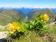 CORNO STELLA , panorami, monti, laghi, fiori, stambecchi-9lu25  - FOTOGALLERY